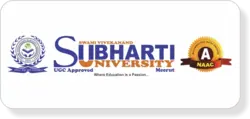 SVSU Online University